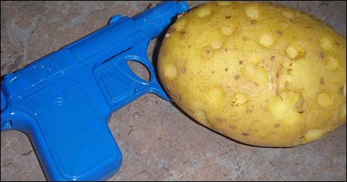 potato gun kit